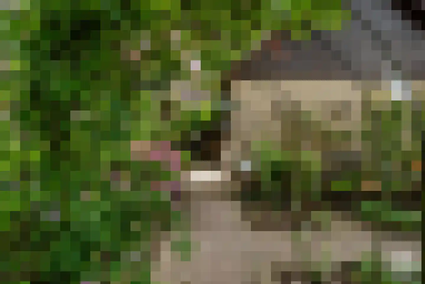 Essen 1 Haren Gn thumbnail 39