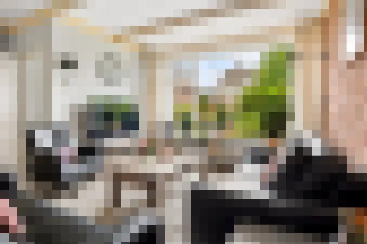 Essenakker 22 Oosterwolde Gld thumbnail 10