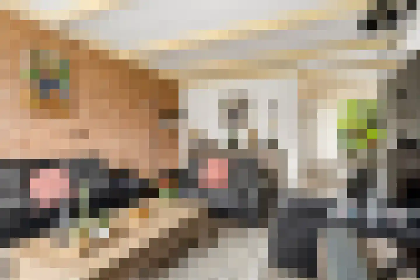 Essenakker 22 Oosterwolde Gld thumbnail 12