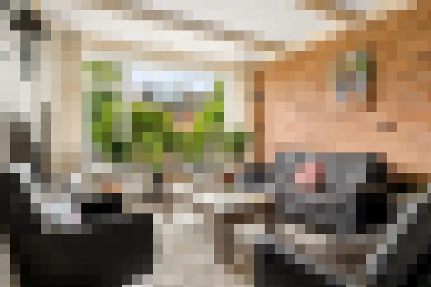Essenakker 22 Oosterwolde Gld thumbnail 13