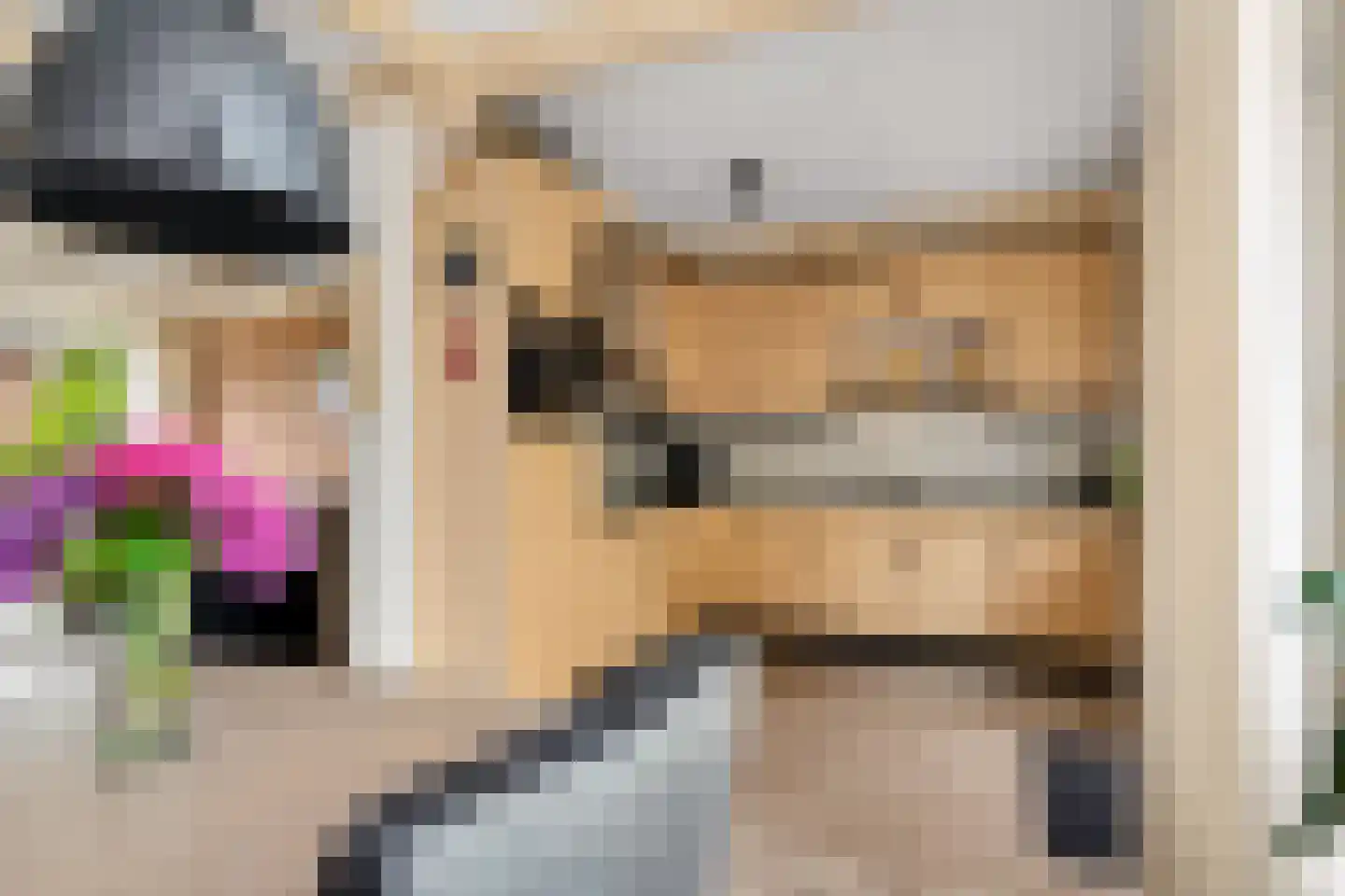 Essenakker 22 Oosterwolde Gld thumbnail 16
