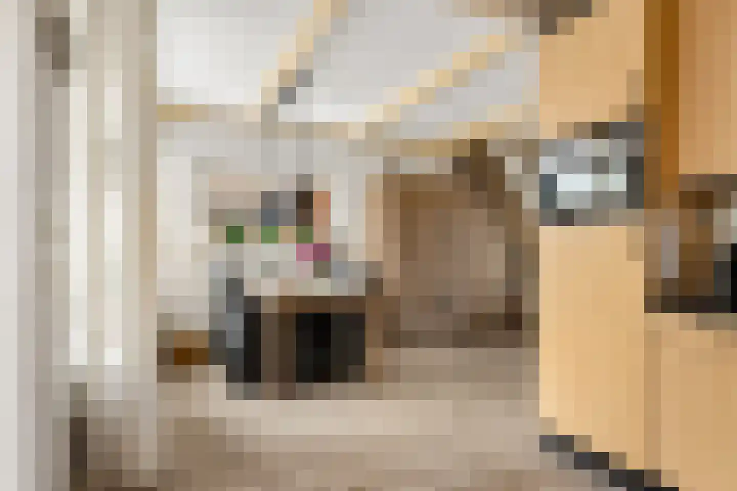Essenakker 22 Oosterwolde Gld thumbnail 17