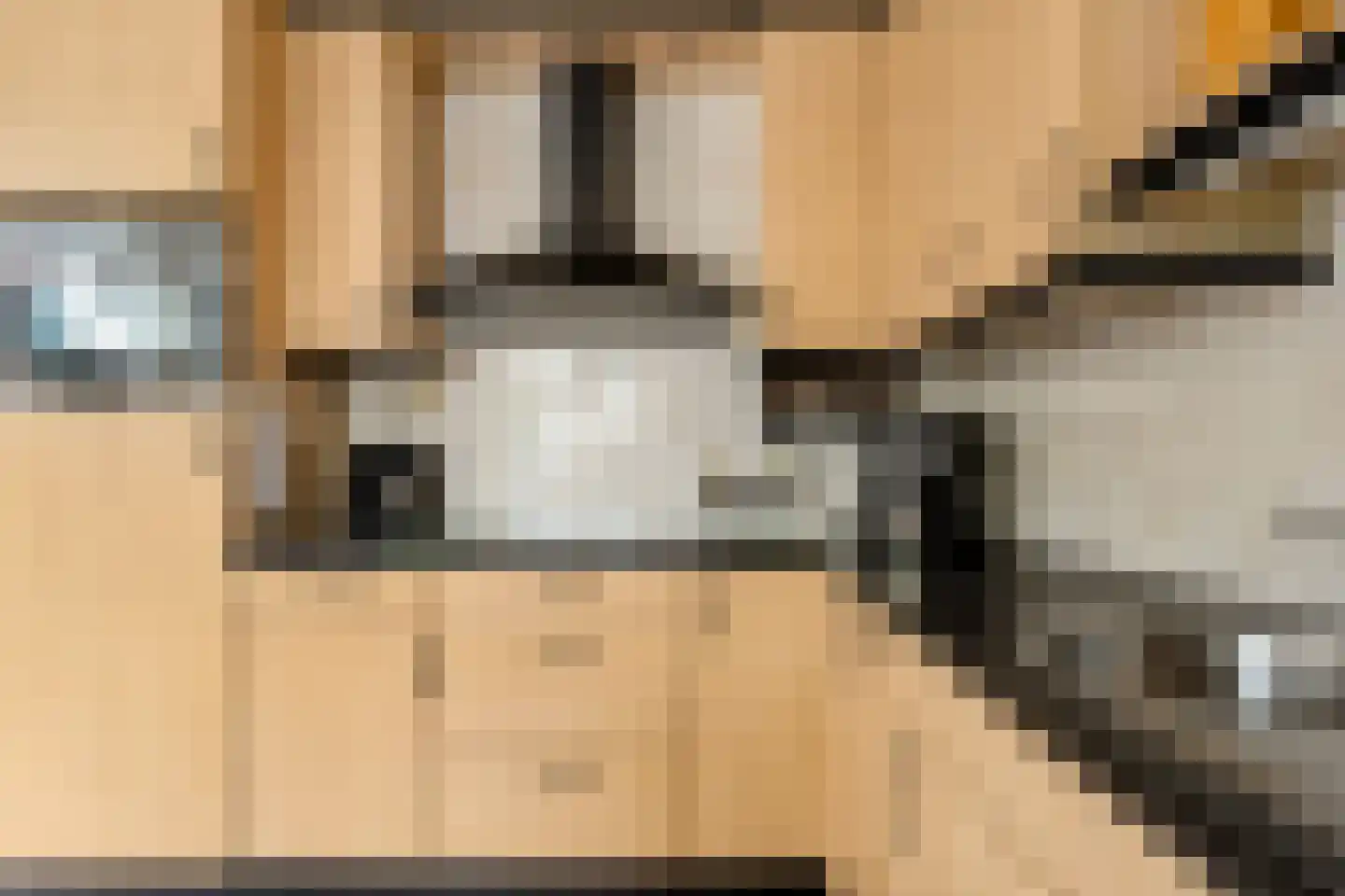 Essenakker 22 Oosterwolde Gld thumbnail 19