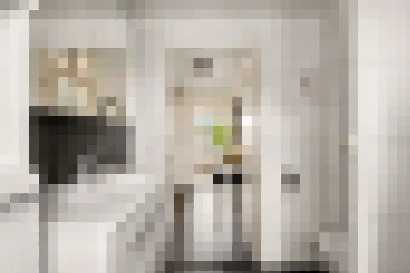 Essenakker 22 Oosterwolde Gld thumbnail 32