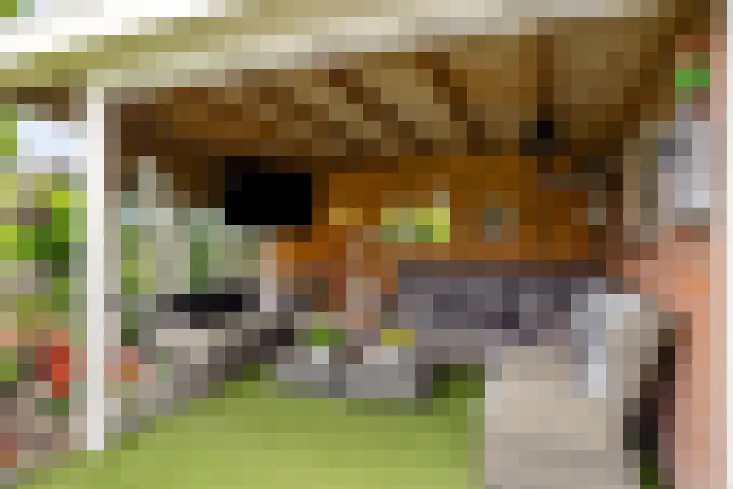 Essenakker 22 Oosterwolde Gld thumbnail 36