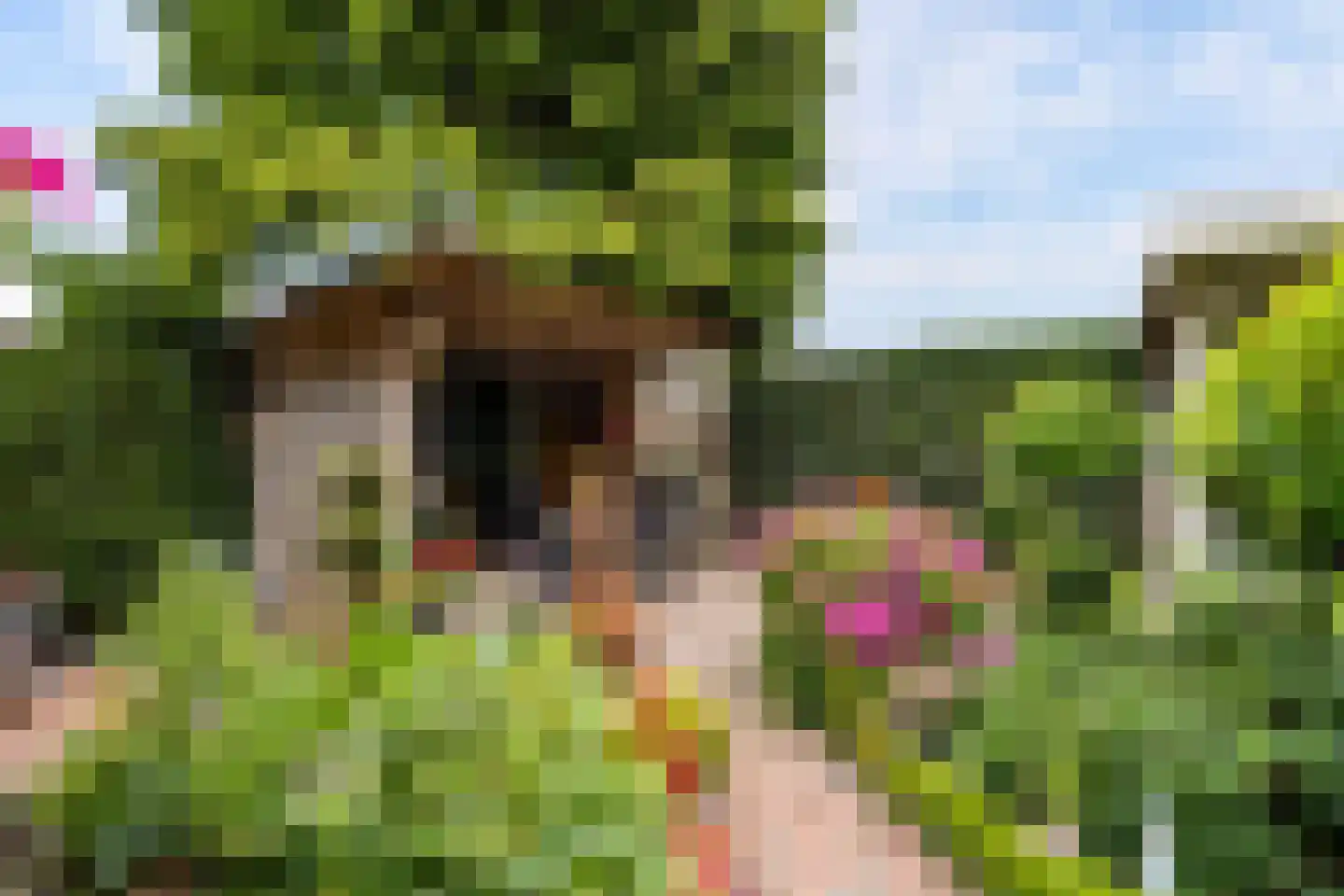 Essenakker 22 Oosterwolde Gld thumbnail 40