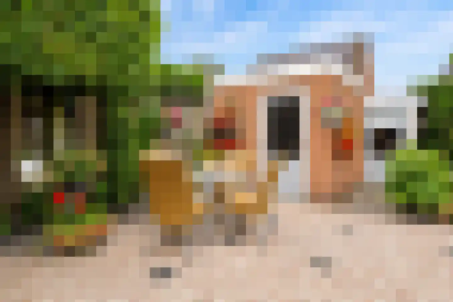 Essenakker 22 Oosterwolde Gld thumbnail 41