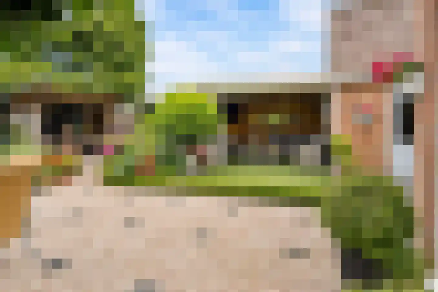 Essenakker 22 Oosterwolde Gld thumbnail 45