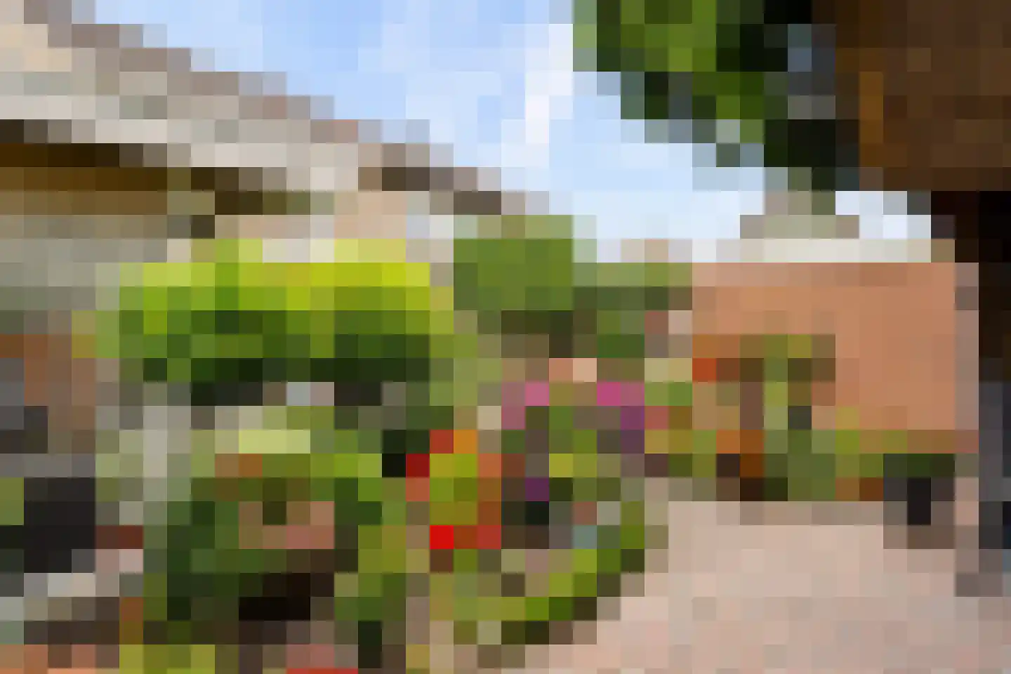 Essenakker 22 Oosterwolde Gld thumbnail 46