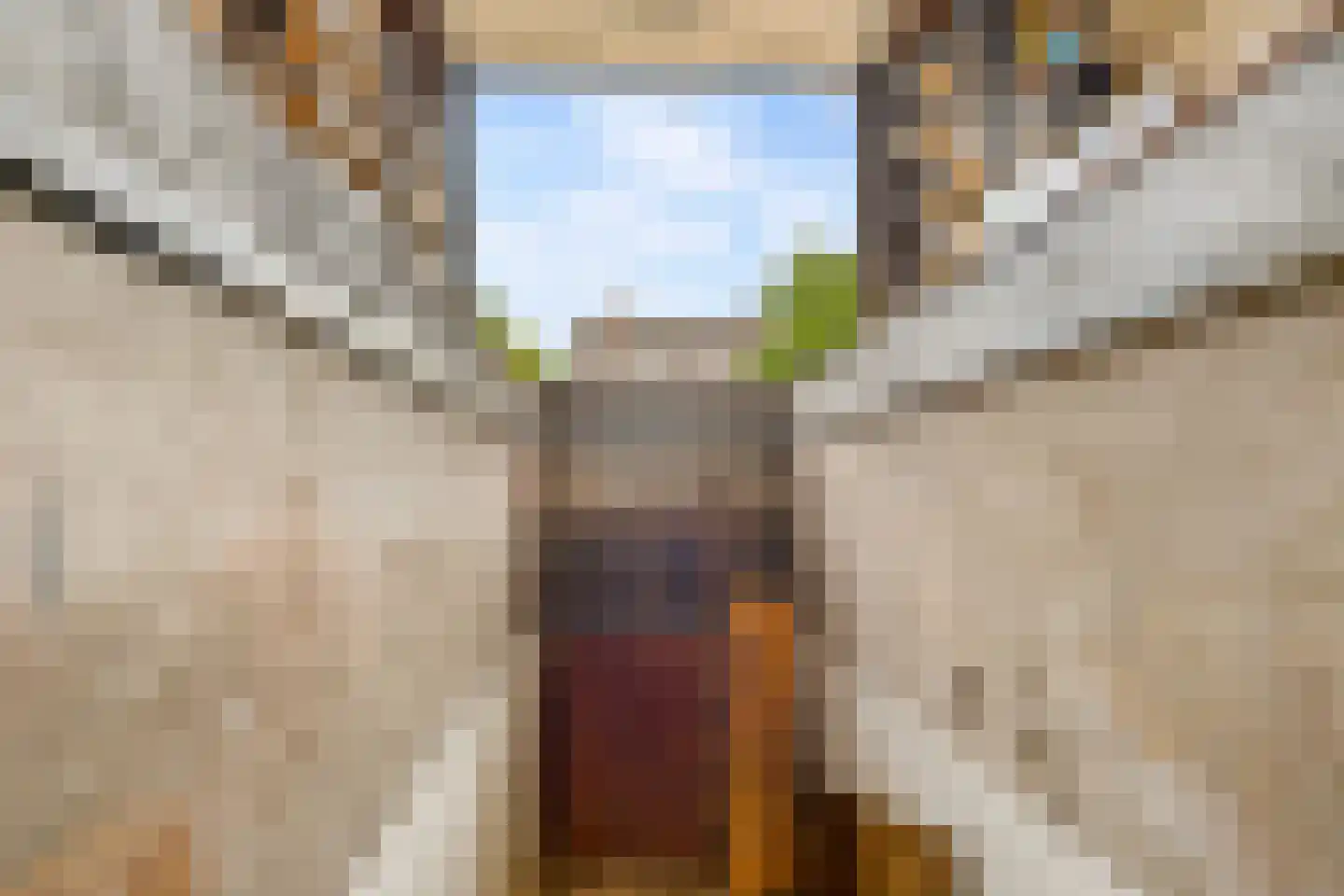 Essenakker 22 Oosterwolde Gld thumbnail 48