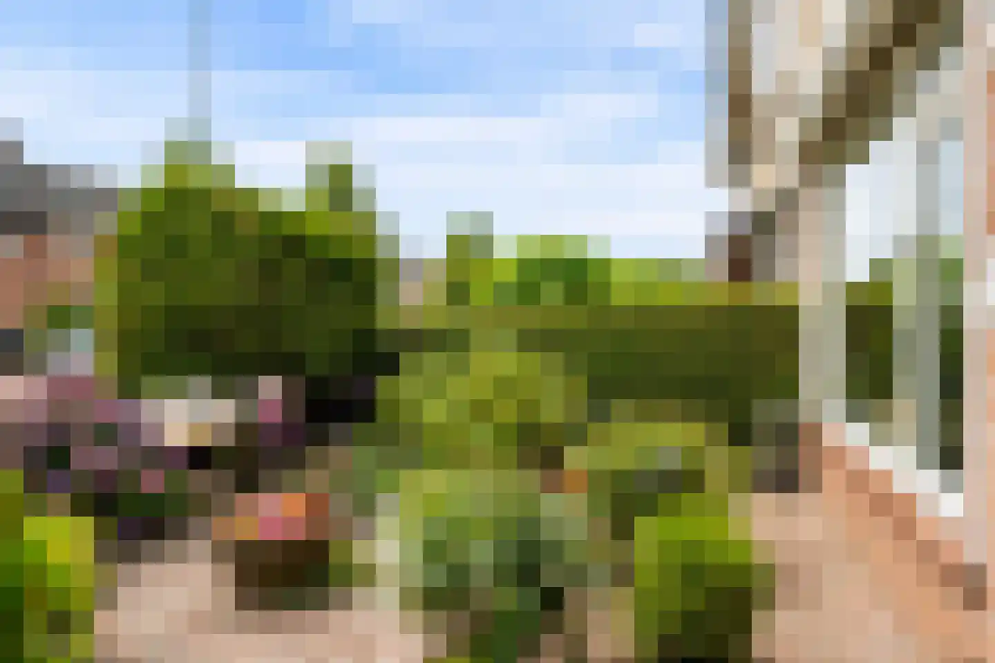 Essenakker 22 Oosterwolde Gld thumbnail 50