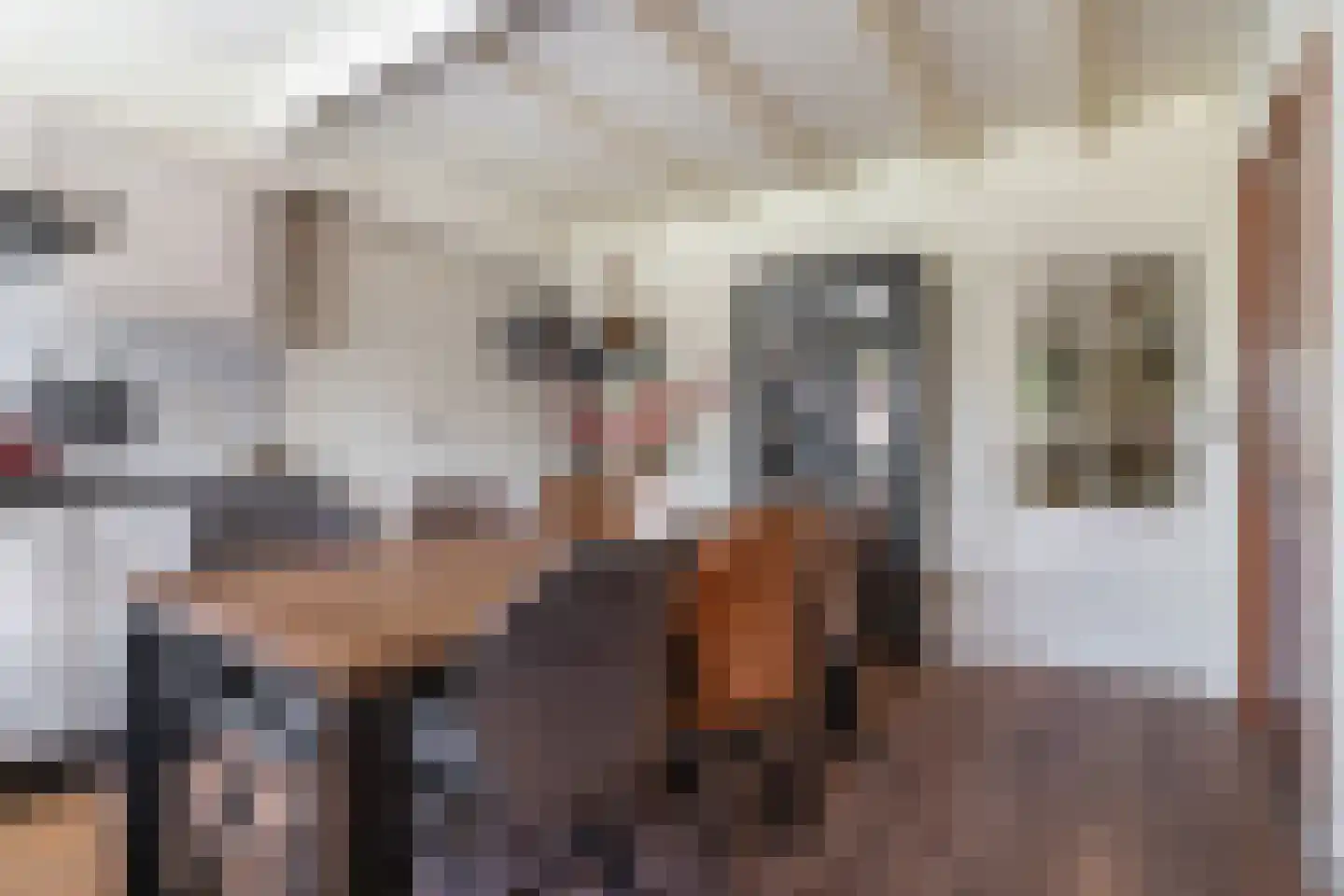Essenakker 9 Oosterwolde Gld thumbnail 12