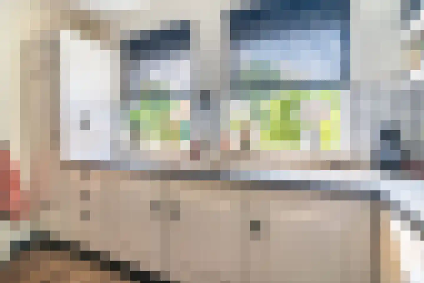Essenakker 9 Oosterwolde Gld thumbnail 15