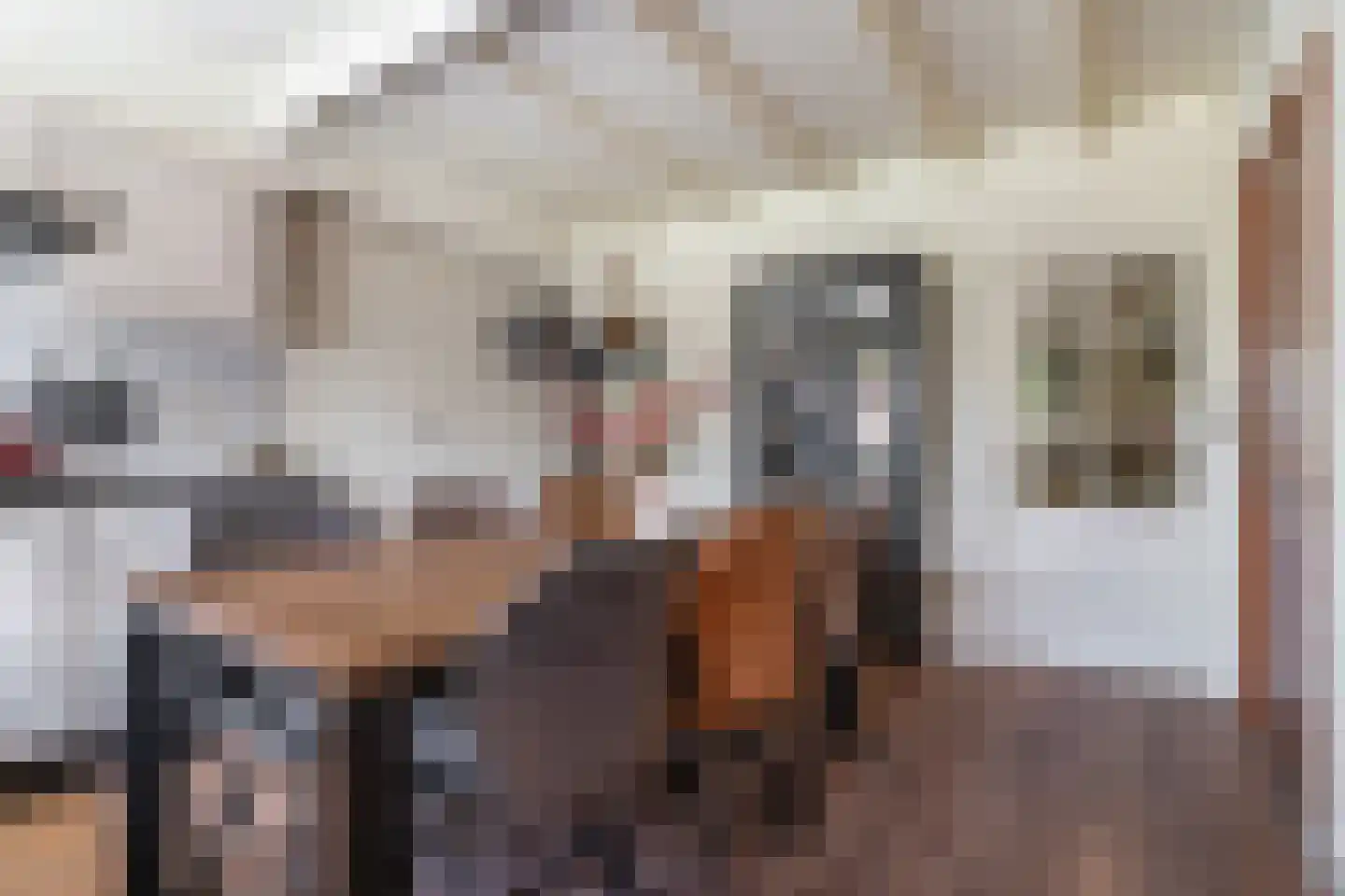 Essenakker 9 Oosterwolde Gld thumbnail 22