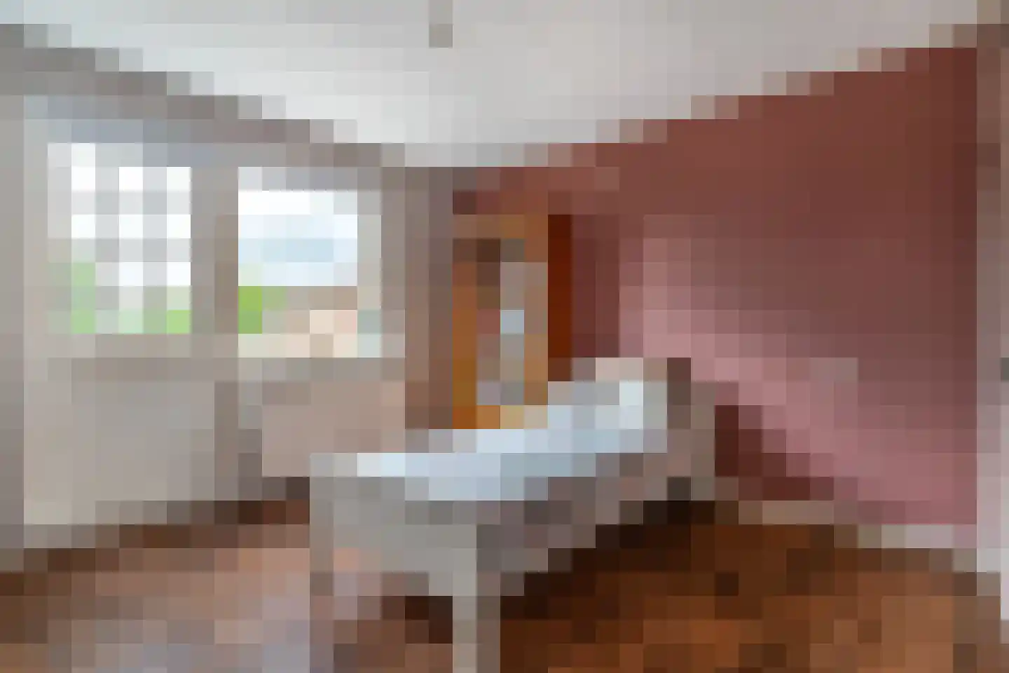 Essenakker 9 Oosterwolde Gld thumbnail 27