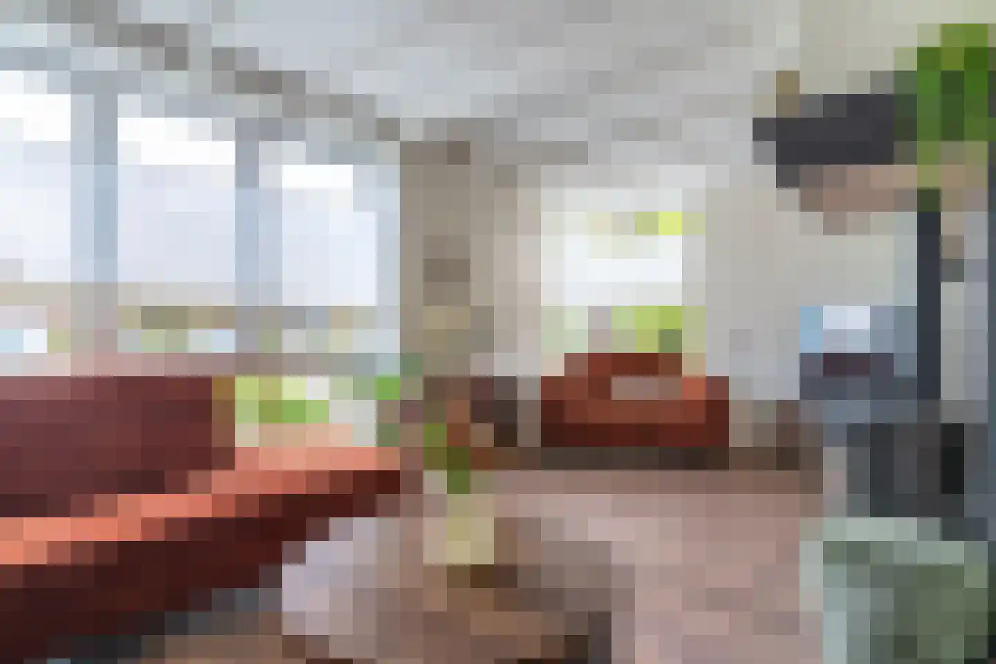 Essenakker 9 Oosterwolde Gld thumbnail 4