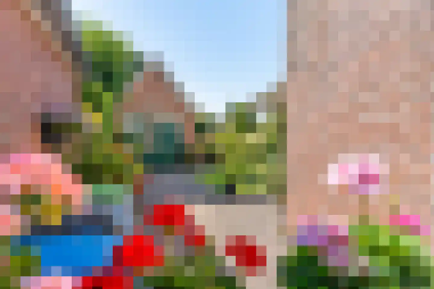 Essenakker 9 Oosterwolde Gld thumbnail 45