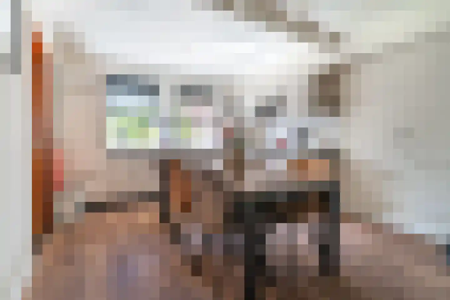 Essenakker 9 Oosterwolde Gld thumbnail 6