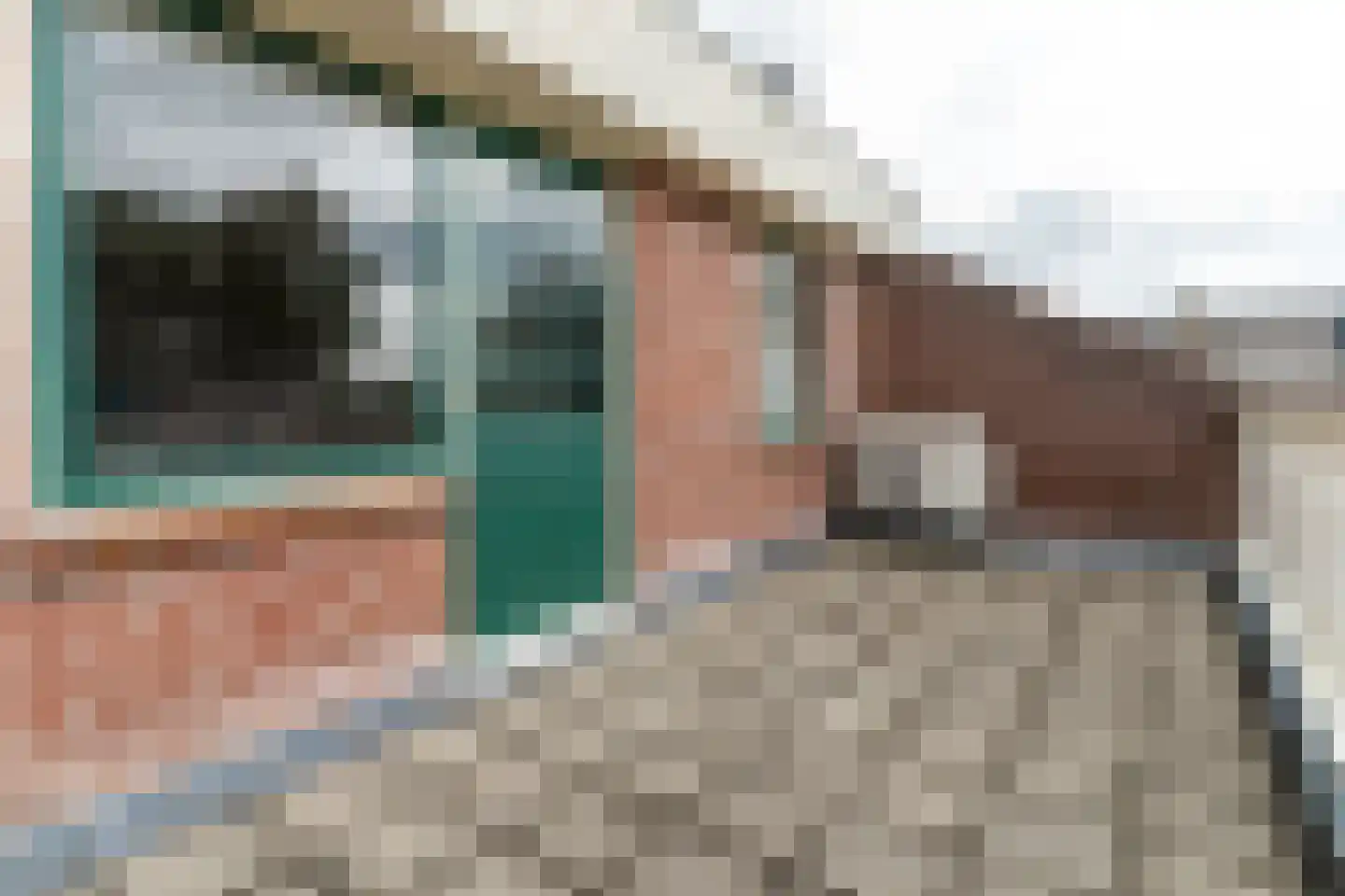 Essenakker 9 Oosterwolde Gld thumbnail 8