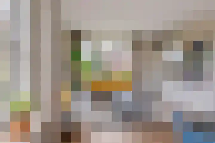 Essenberg 27 Veenendaal thumbnail 13