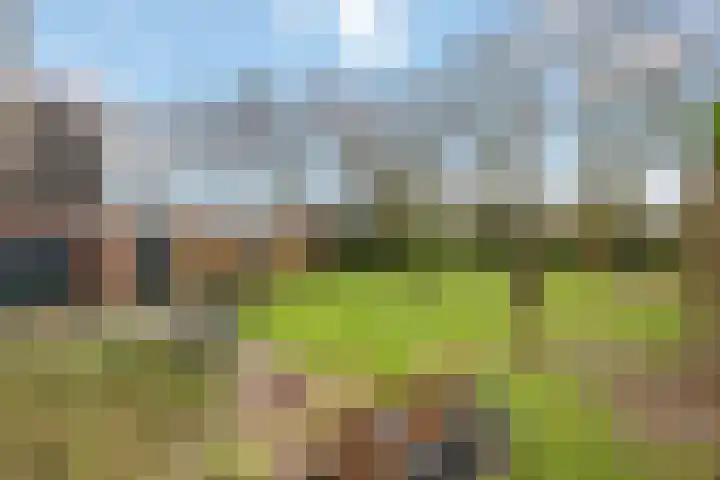 Essenberg 27 Veenendaal thumbnail 17