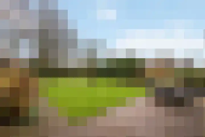 Essenberg 27 Veenendaal thumbnail 19