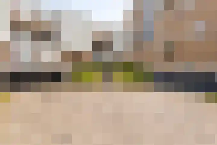 Essenburg 100 Dordrecht thumbnail 26