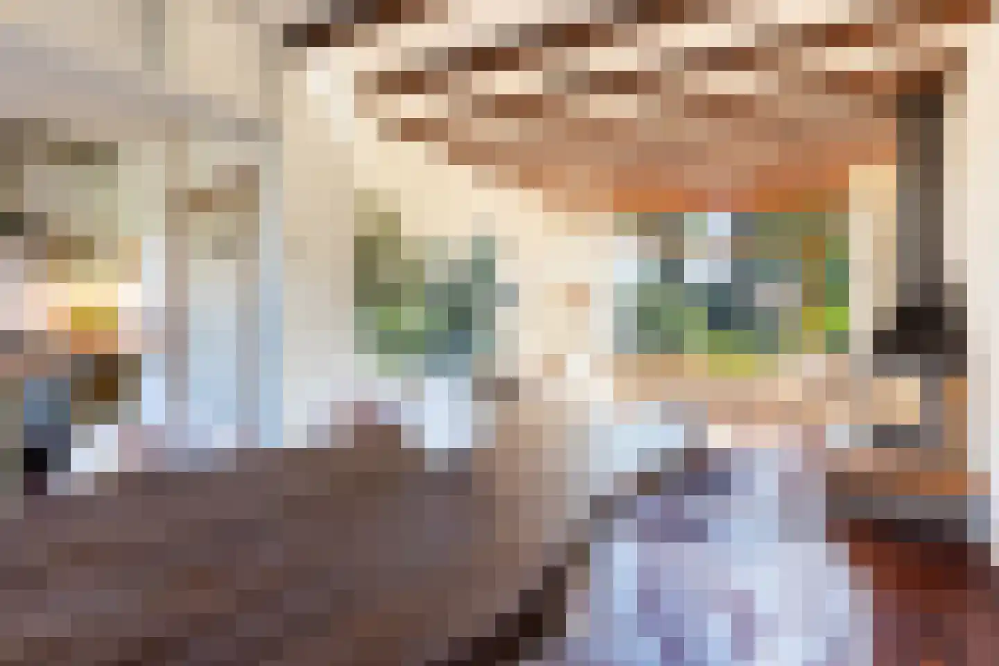 Essenburg 21 Ugchelen thumbnail 5