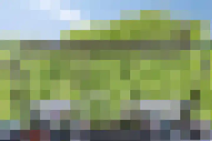 Essenburgsingel 1 A Rotterdam thumbnail 7