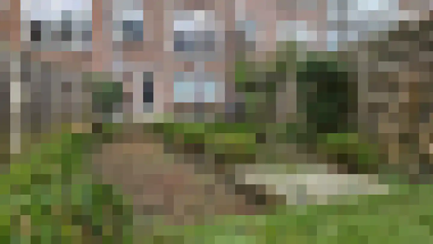 Essenburgsingel 123 B 02 Rotterdam thumbnail 30