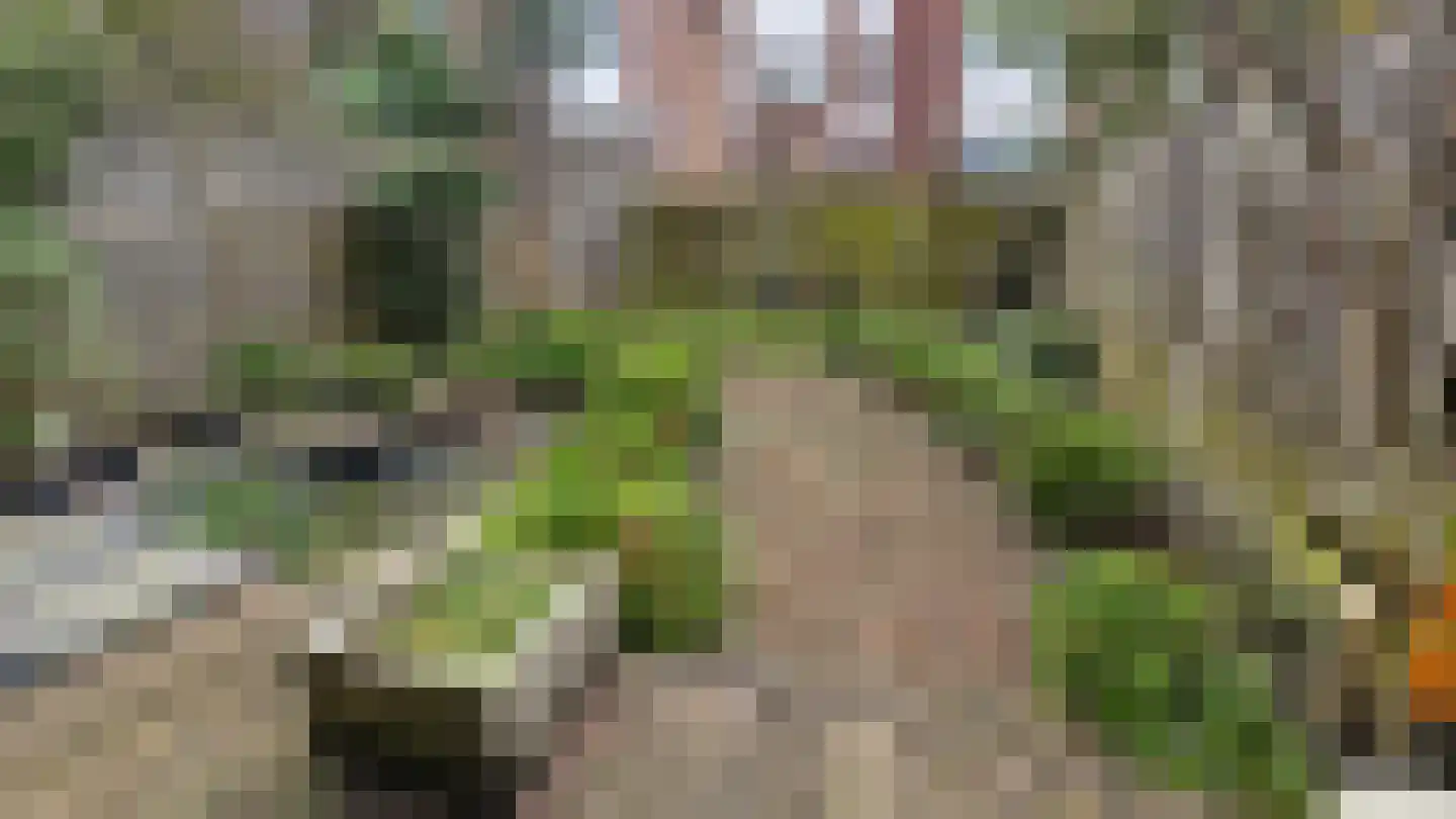 Essenburgsingel 123 B 02 Rotterdam thumbnail 31