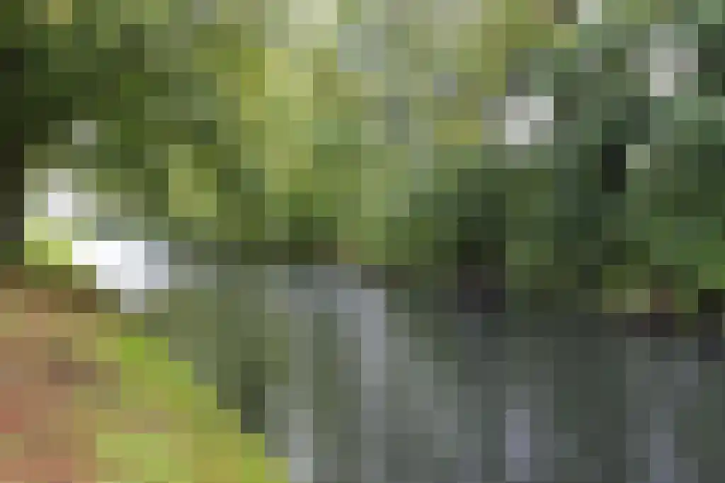 Essenburgsingel 123 B 02 Rotterdam thumbnail 33