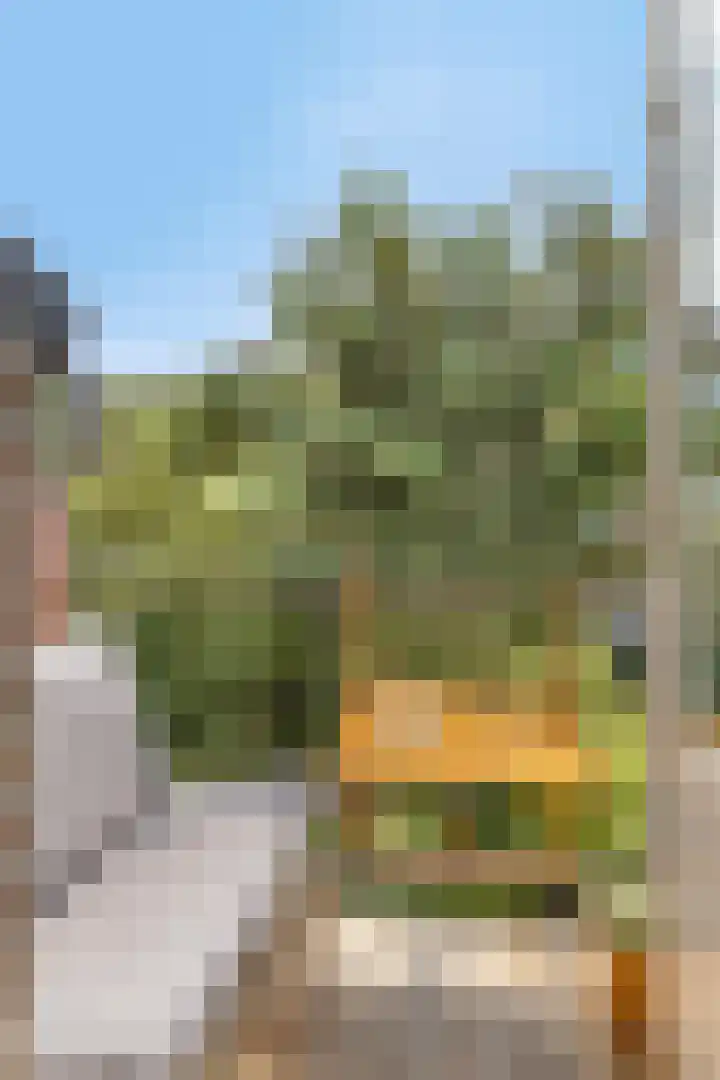 Essenburgsingel 150 B Rotterdam thumbnail 33