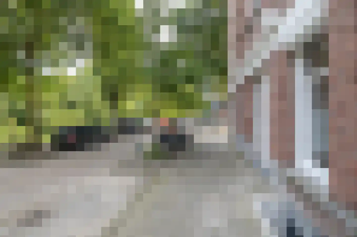 Essenburgsingel 31 B Rotterdam thumbnail 34