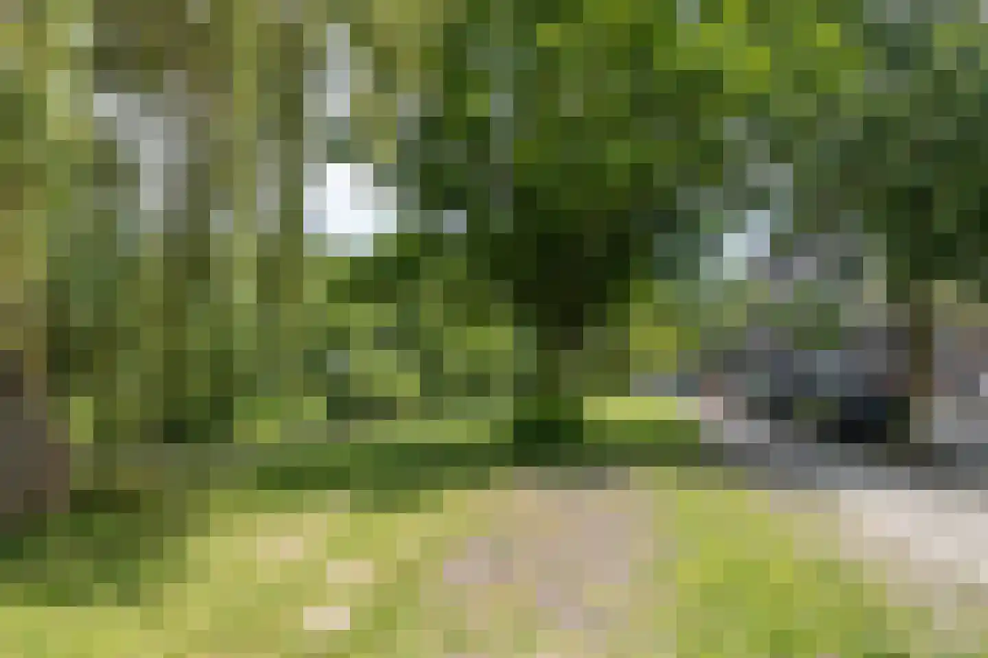 Essenburgsingel 31 B Rotterdam thumbnail 35