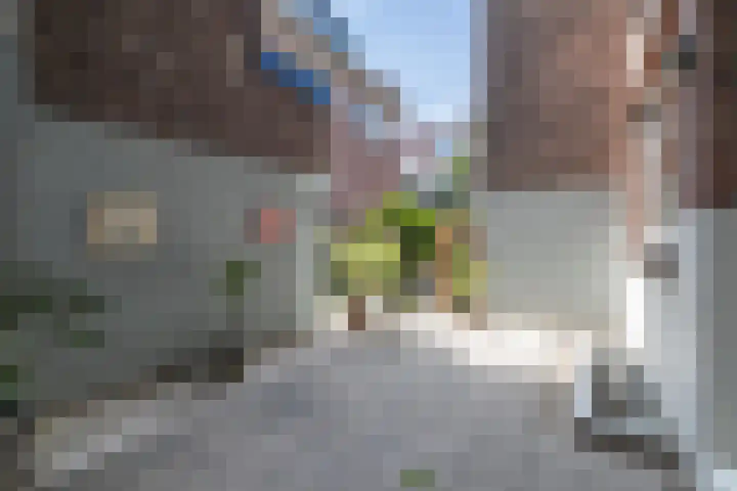 Essenburgsingel 31 B Rotterdam thumbnail 5