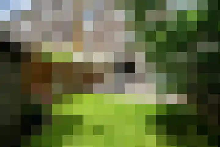 Essenburgsingel 94 A Rotterdam thumbnail 9