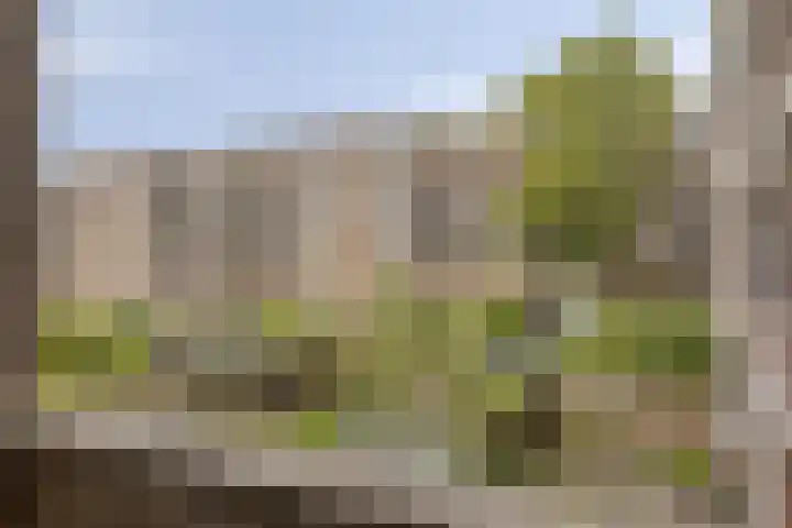 Essenburgstraat 12 02R Rotterdam thumbnail 14