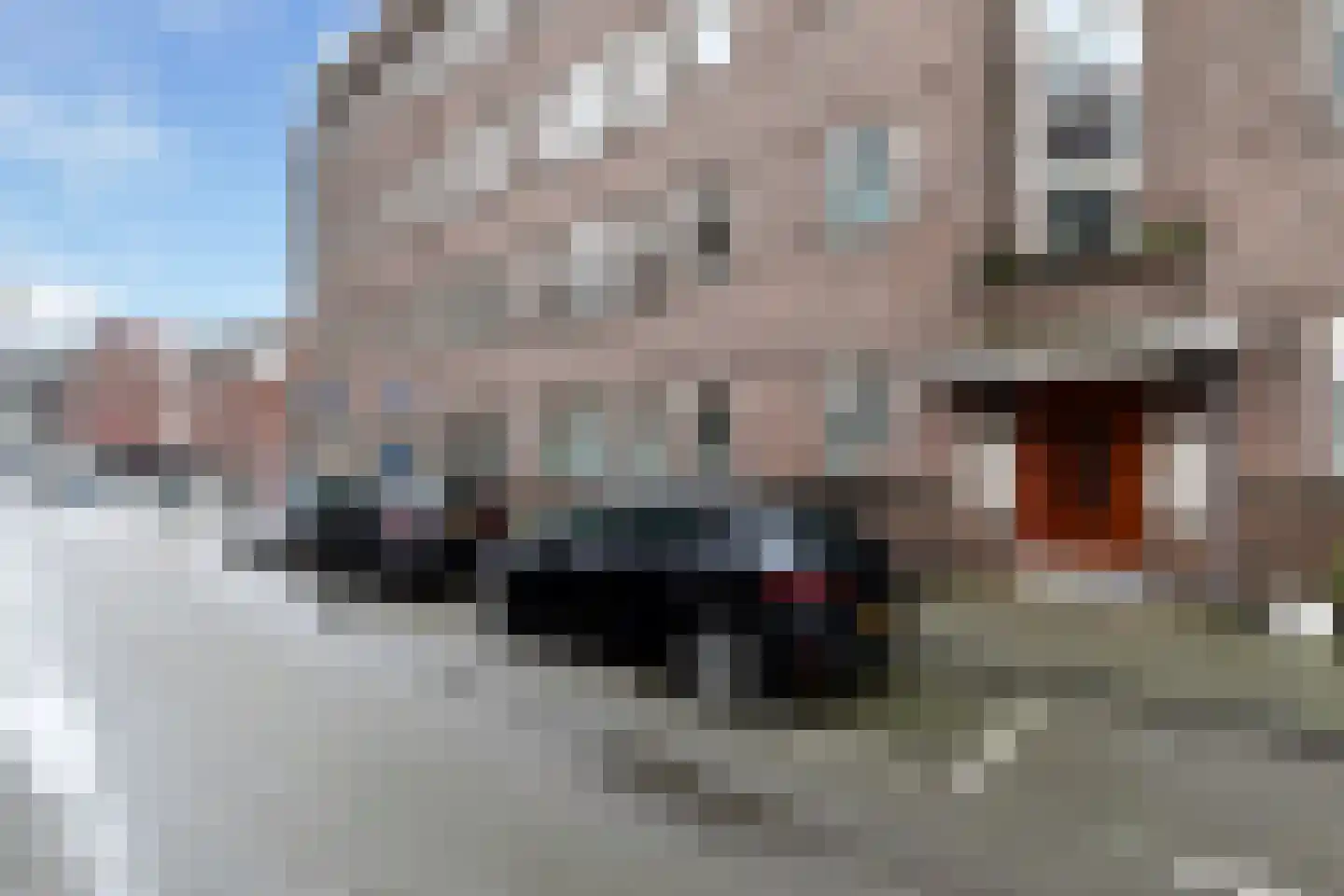 Essenburgstraat 12 02R Rotterdam thumbnail 5