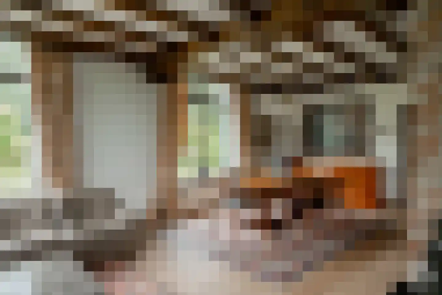 Essendonk 87 Breda thumbnail 11