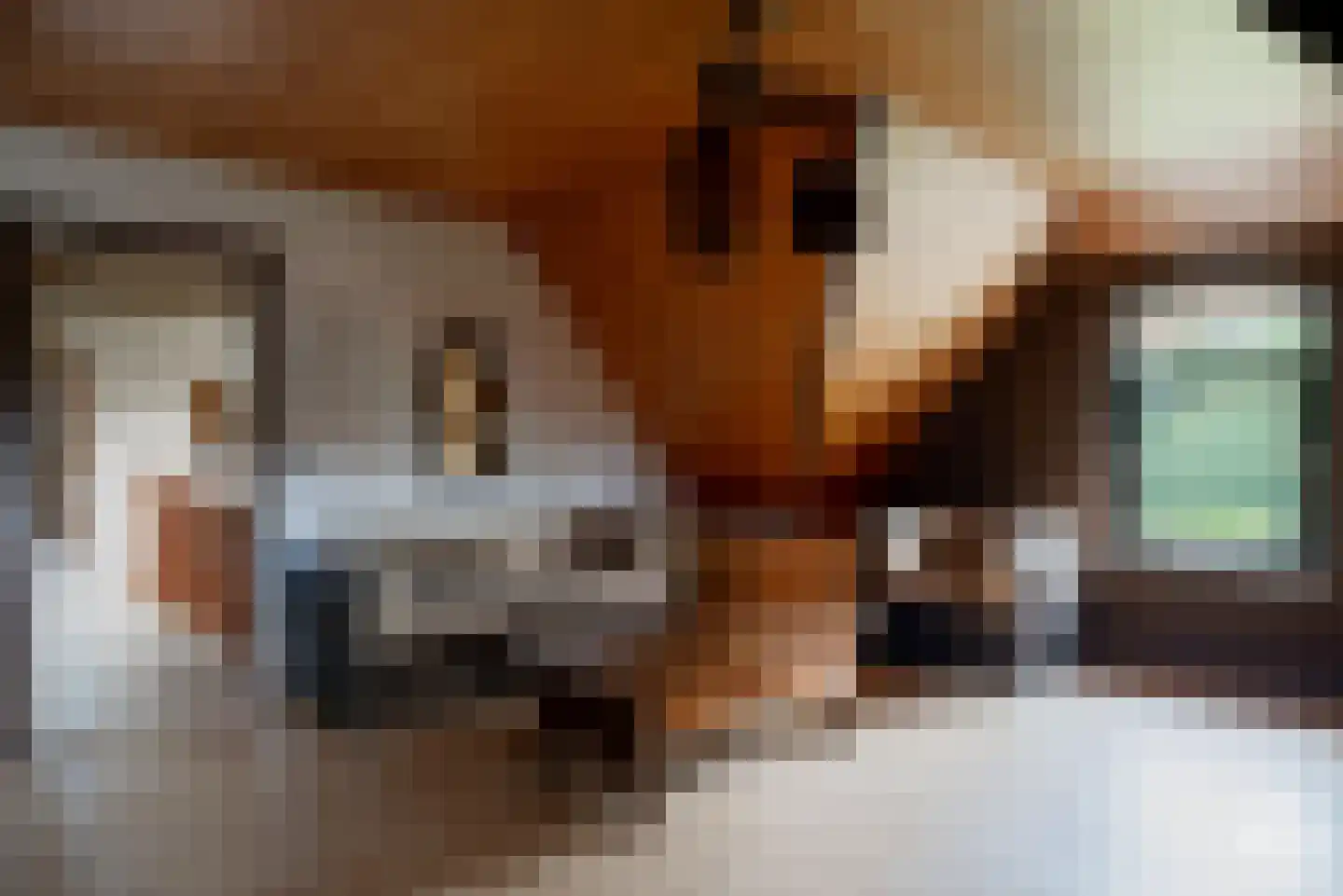 Essendonk 87 Breda thumbnail 25