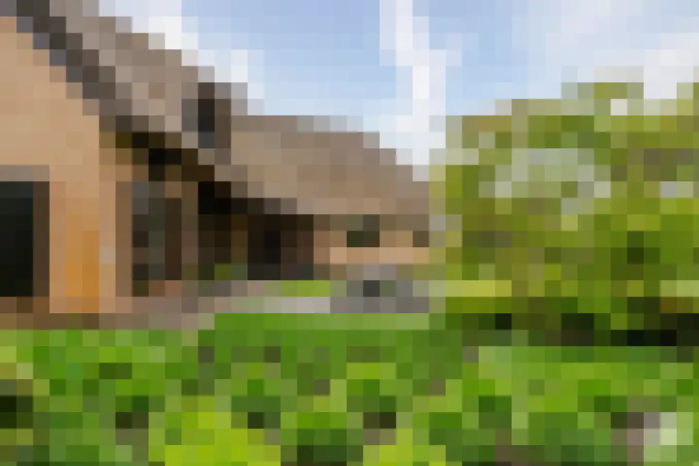 Essendonk 87 Breda thumbnail 29