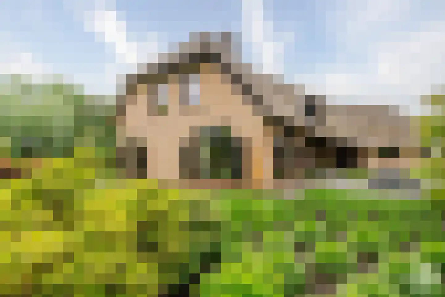 Essendonk 87 Breda thumbnail 30