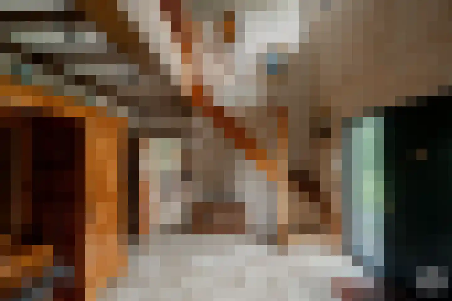 Essendonk 87 Breda thumbnail 4