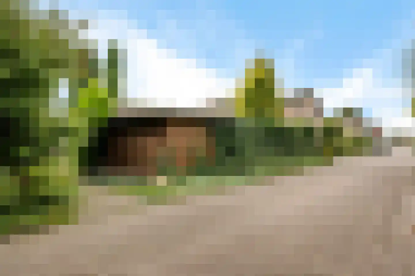 Essendreef 14 Giethoorn thumbnail 36