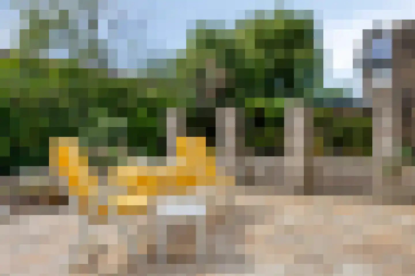 Essendreef 18 Gouderak thumbnail 36