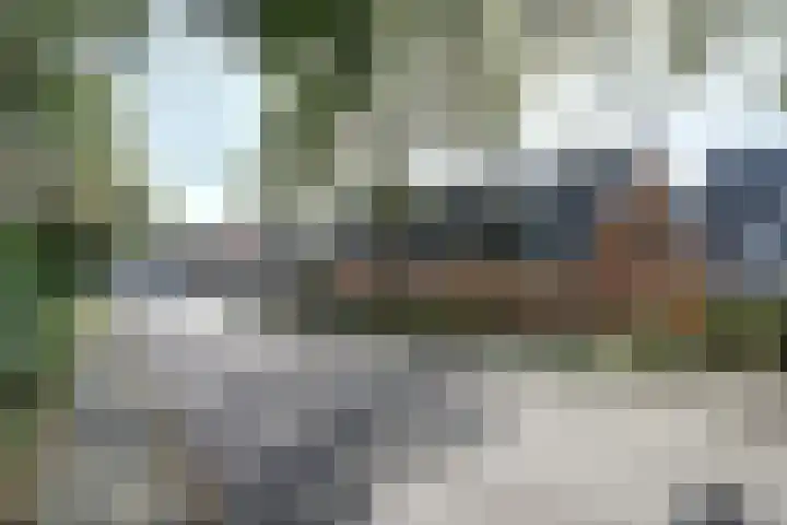 Essendreef 2 in Gouderak