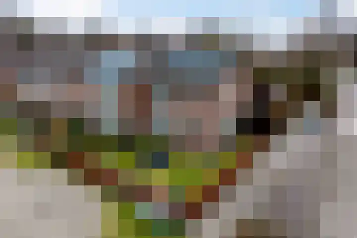 Essendreef 2 in Giethoorn