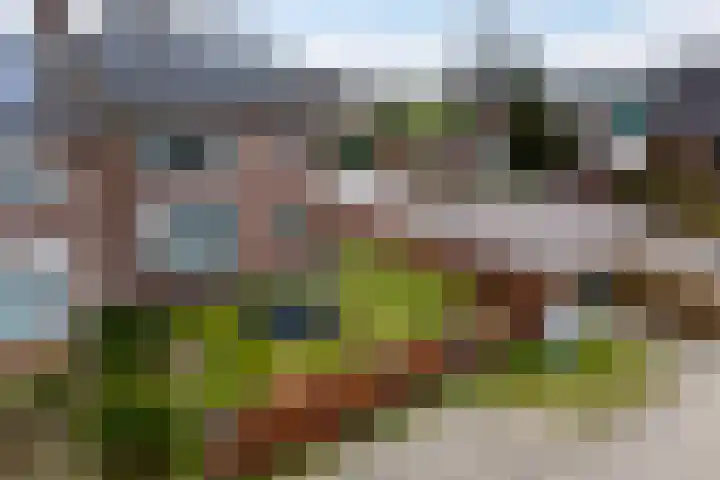 Essendreef 2 Giethoorn thumbnail 35
