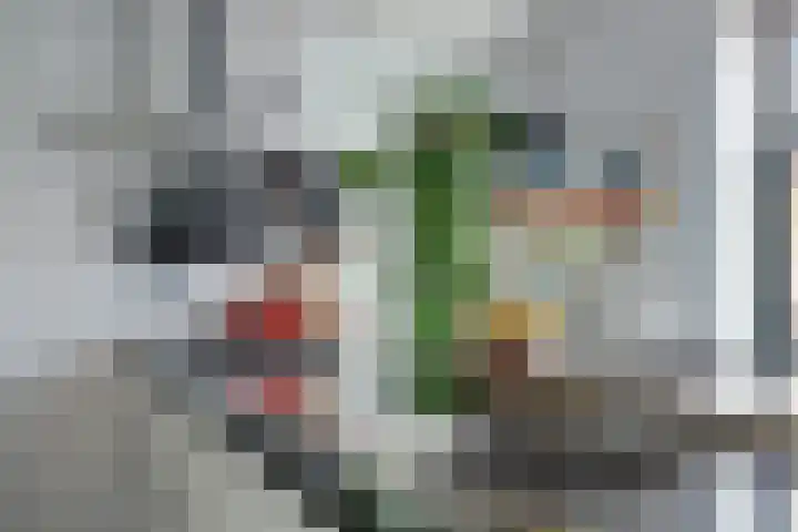 Essendreef 2 Gouderak thumbnail 16